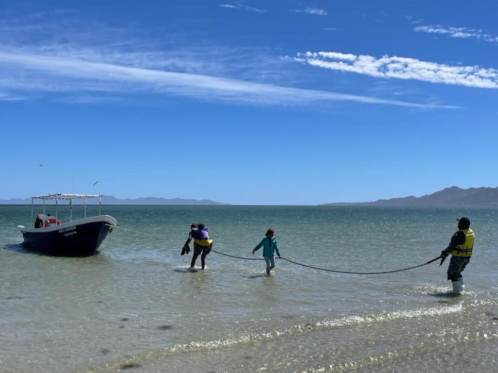 Hotel Hotel- Whale Tours And Sport Fishing Vista Mag-bay Puerto San Carlos