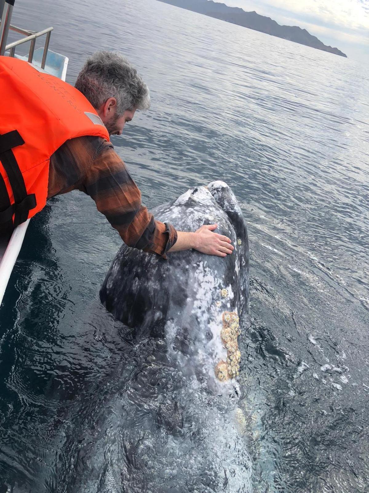 Hotel- Whale Tours And Sport Fishing Vista Mag-bay Puerto San Carlos
