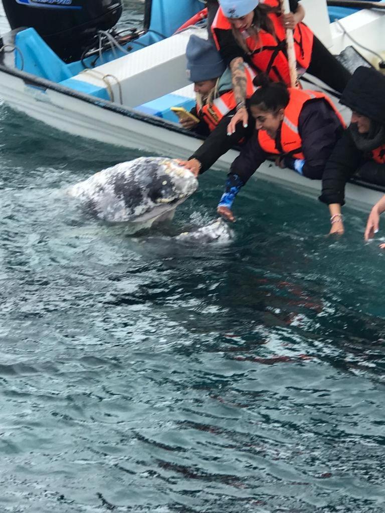 Hotel Hotel- Whale Tours And Sport Fishing Vista Mag-bay 3*