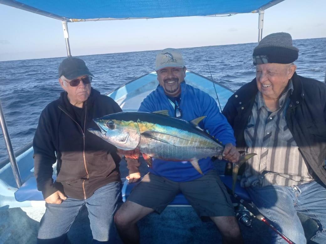 Hotel- Whale Tours And Sport Fishing Vista Mag-bay Hotel 3*