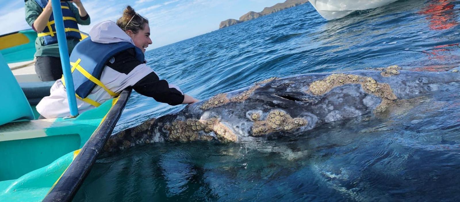 Hotel Hotel- Whale Tours And Sport Fishing Vista Mag-bay